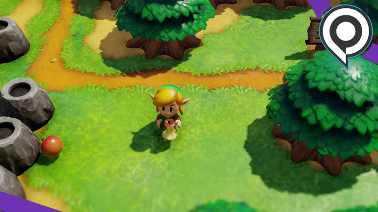 Zelda Link Switch